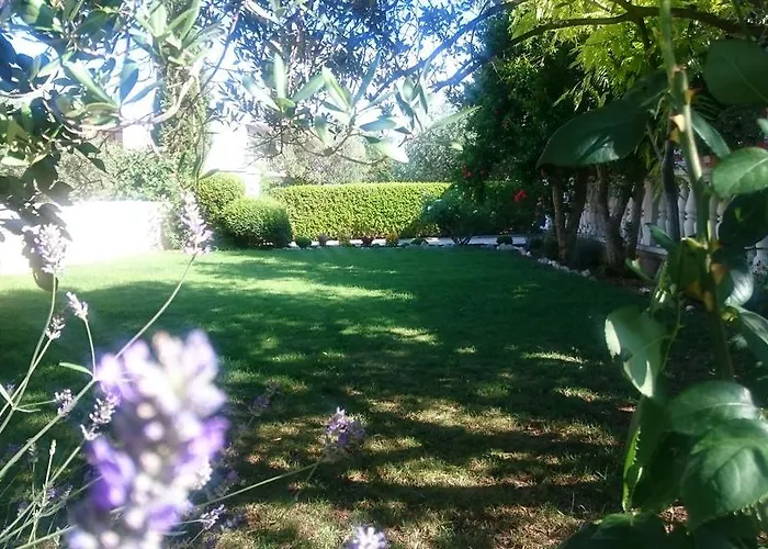 Apartamento Bilava *